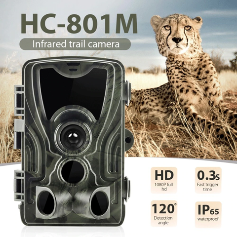 Image of Hunting Trail Game Camera - Outdoor Waterproof